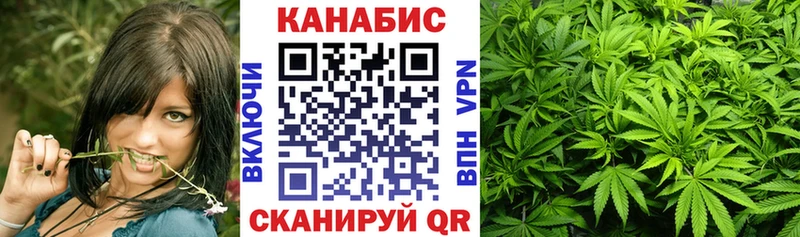 Конопля сатива Курильск